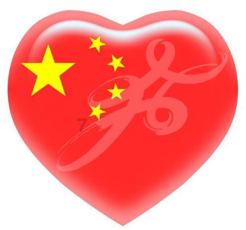 救援狗与猫